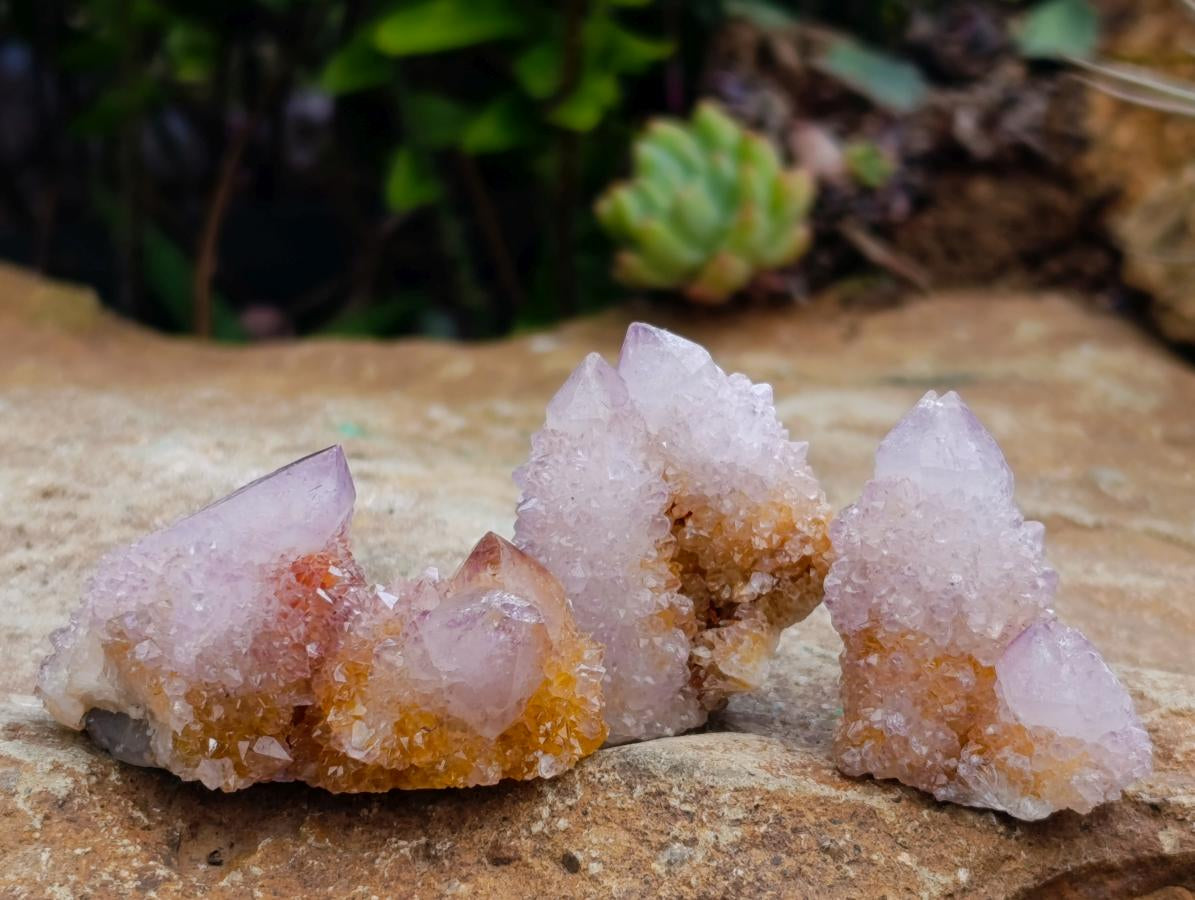 Natural Amethyst Spirit Crystals x 35 From Boekenhouthoek, South Africa