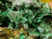 Natural Silky Malachite Specimens x 2 From Kasompe, Congo