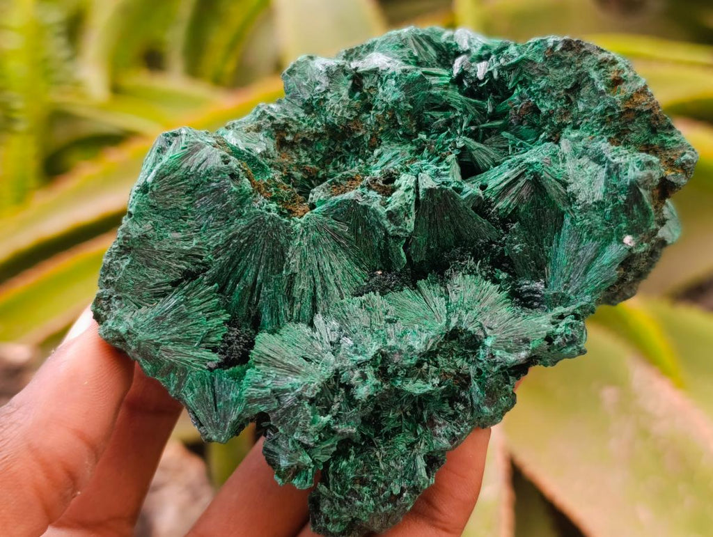 Natural Silky Malachite Specimens x 2 From Kasompe, Congo