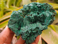 Natural Silky Malachite Specimens x 2 From Kasompe, Congo