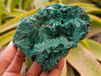 Natural Silky Malachite Specimens x 2 From Kasompe, Congo