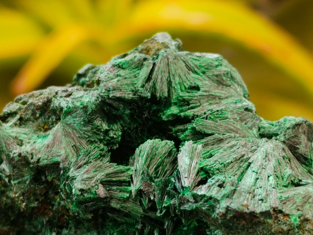 Natural Silky Malachite Specimens x 2 From Kasompe, Congo