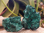 Natural Silky Malachite Specimens x 2 From Kasompe, Congo