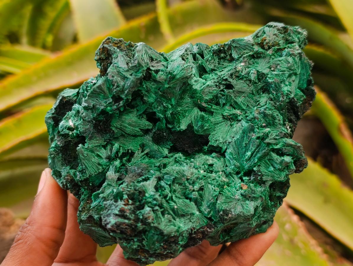 Natural Silky Malachite Specimens x 2 From Kasompe, Congo