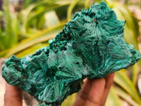 Natural Silky Malachite Specimens x 2 From Kasompe, Congo