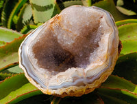 Polished Agate Geodes with Crystalline Centres x 2 From Maintirano, Madagascar