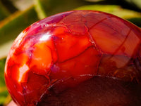 Polished Carnelian Agate Gemstone Bowls x 2 From Madagascar