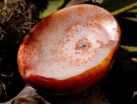 Polished Carnelian Agate Gemstone Bowls x 2 From Madagascar
