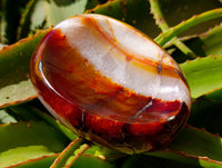 Polished Carnelian Agate Gemstone Bowls x 2 From Madagascar