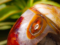 Polished Carnelian Agate Gemstone Bowls x 2 From Madagascar