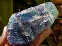 Natural Watermelon Fluorite Cobbed Specimens x 4 From Uis, Namibia