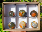 Polished Polychrome Jasper Spheres x 6 From NW Coast, Madagascar