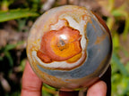 Polished Polychrome Jasper Spheres x 6 From NW Coast, Madagascar