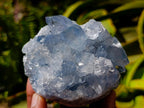 Natural Blue Celestite Specimens x 3 From Sakoany, Madagascar - Toprock Gemstones and Minerals 