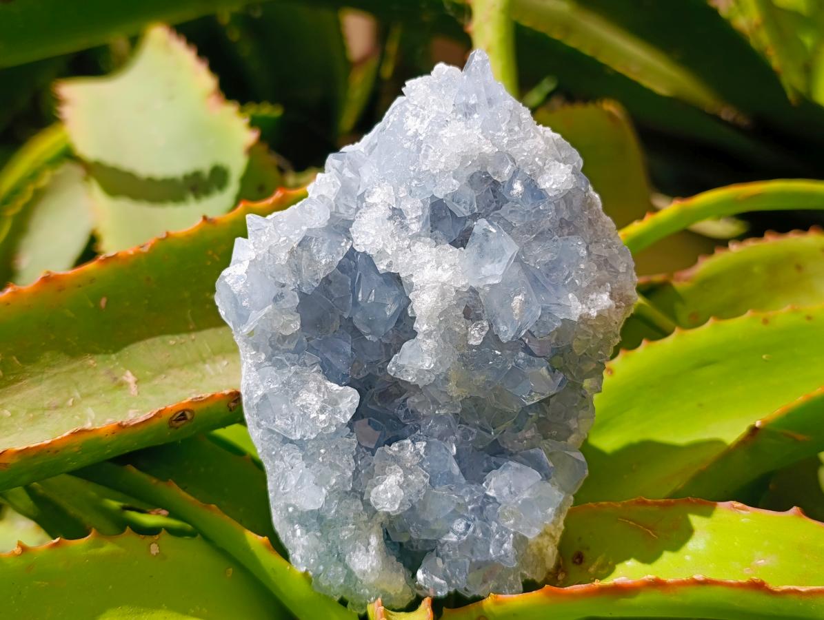 Natural Blue Celestite Specimens x 3 From Sakoany, Madagascar - Toprock Gemstones and Minerals 