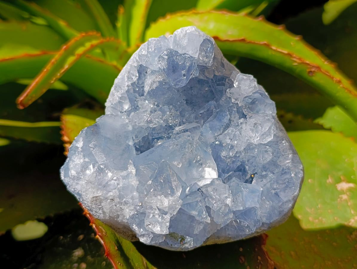 Natural Blue Celestite Specimens x 3 From Sakoany, Madagascar