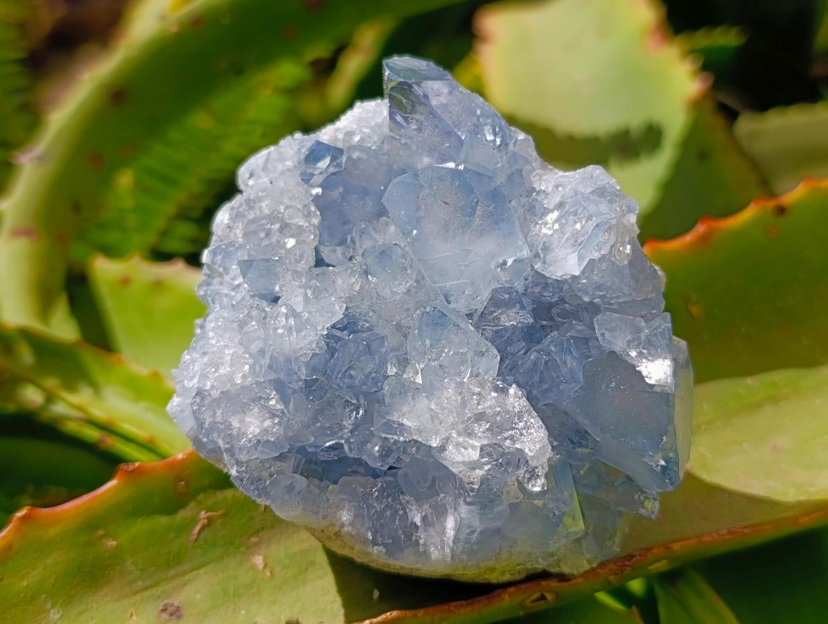 Natural Blue Celestite Specimens x 3 From Sakoany, Madagascar