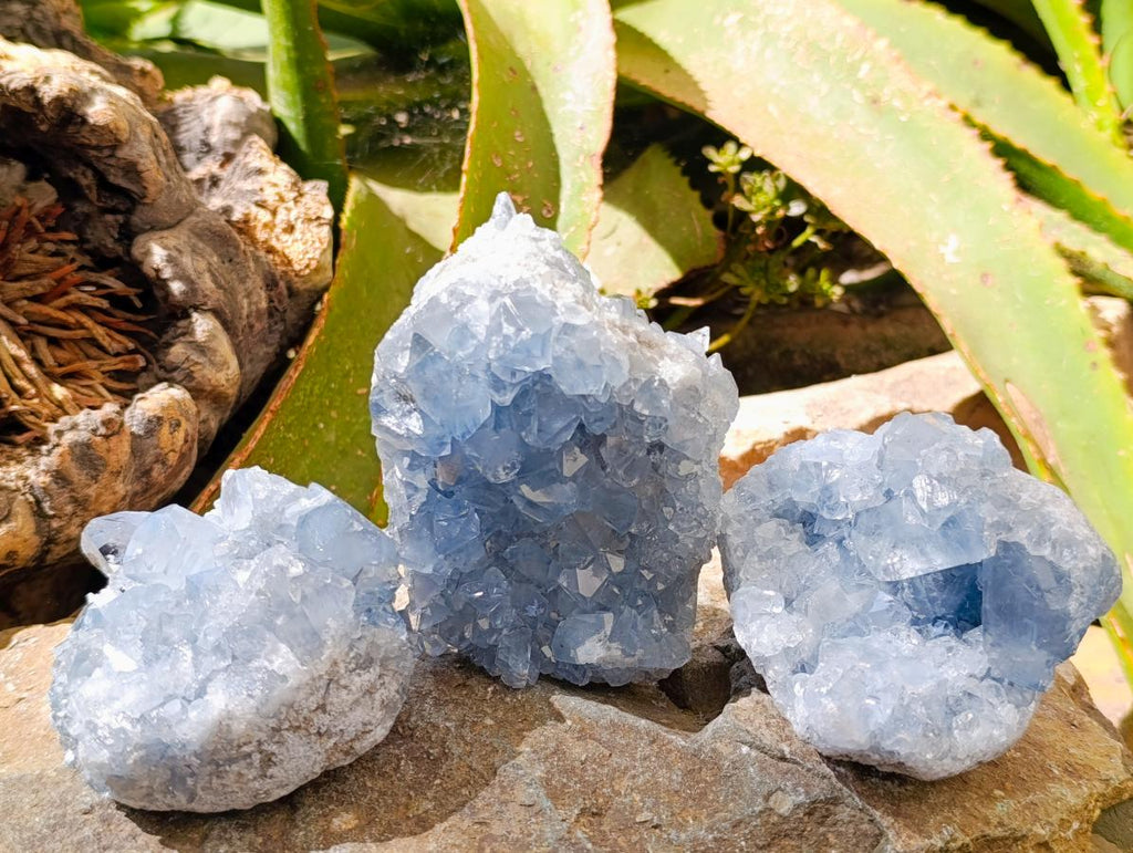 Natural Blue Celestite Specimens x 3 From Sakoany, Madagascar - Toprock Gemstones and Minerals 