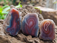 Polished On One Side Red Shashe River Agate Nodules x 35 From Shashe River, Zimbabwe