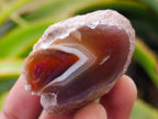 Polished On One Side Red Shashe River Agate Nodules x 35 From Shashe River, Zimbabwe