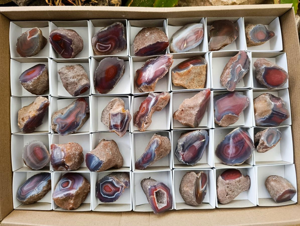 Polished On One Side Red Shashe River Agate Nodules x 35 From Shashe River, Zimbabwe