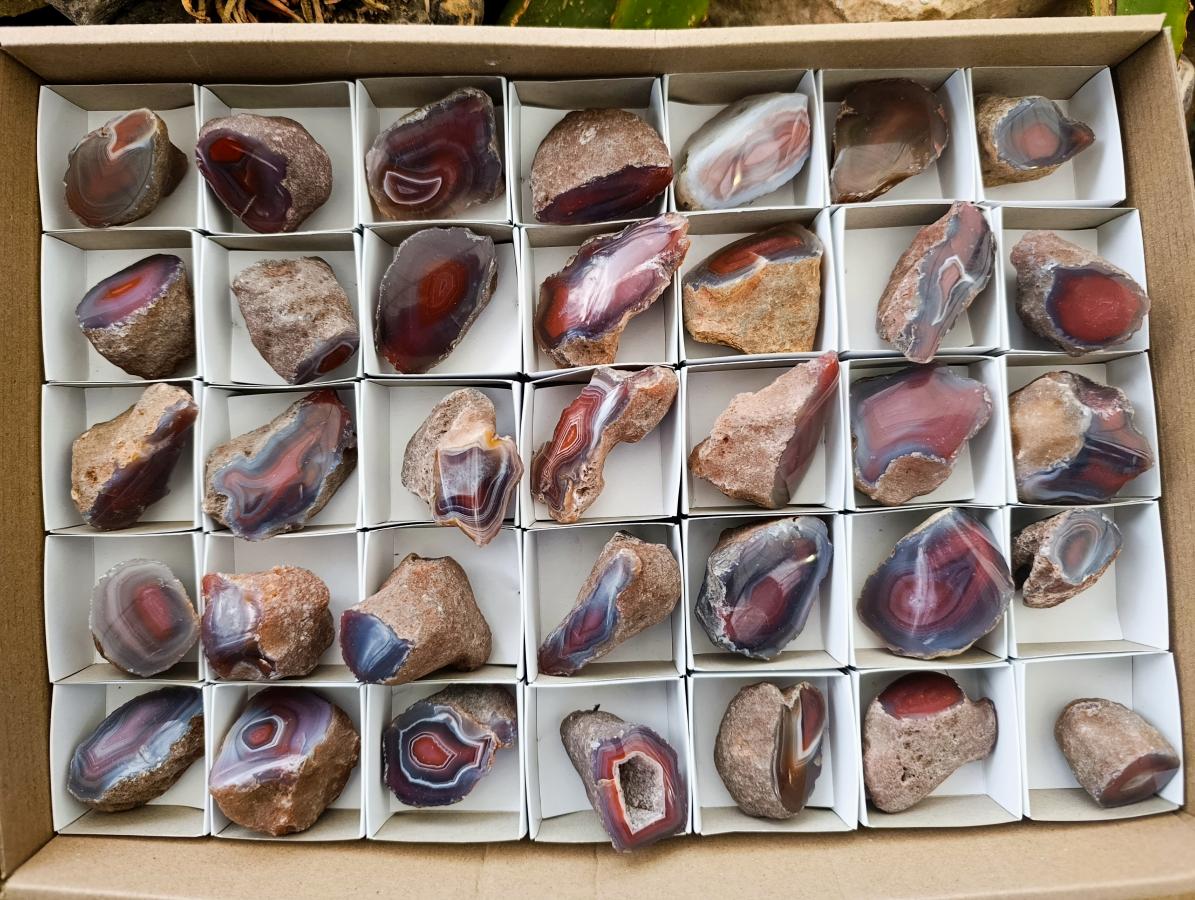 Polished On One Side Red Shashe River Agate Nodules x 35 From Shashe River, Zimbabwe