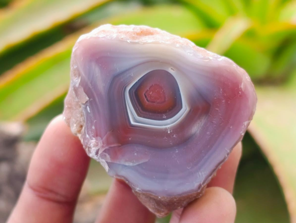 Polished On One Side Red Shashe River Agate Nodules x 35 From Shashe River, Zimbabwe