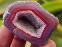 Polished On One Side Red Shashe River Agate Nodules x 35 From Shashe River, Zimbabwe