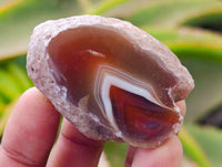 Polished On One Side Red Shashe River Agate Nodules x 35 From Shashe River, Zimbabwe