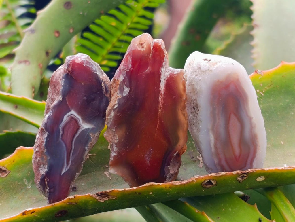 Polished On One Side Red Shashe River Agate Nodules x 35 From Shashe River, Zimbabwe