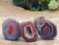 Polished On One Side Red Shashe River Agate Nodules x 35 From Shashe River, Zimbabwe