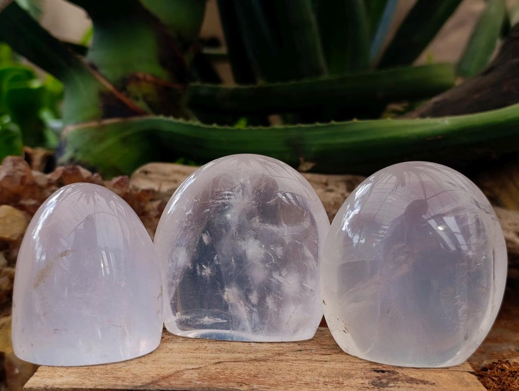 Polished Girasol Pearl Quartz Standing Free Forms x 7 From Ambatondrazaka, Madagascar
