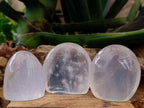 Polished Girasol Pearl Quartz Standing Free Forms x 7 From Ambatondrazaka, Madagascar