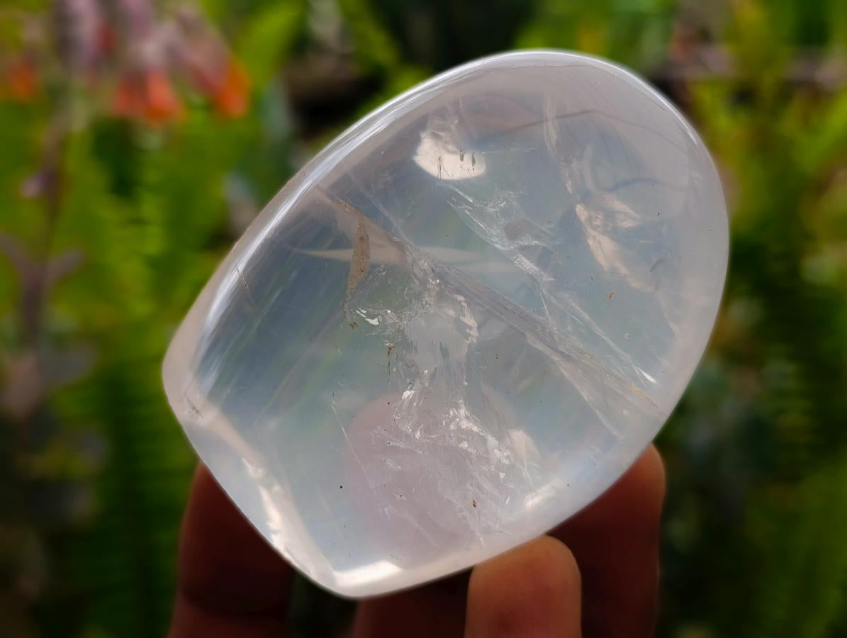 Polished Girasol Pearl Quartz Standing Free Forms x 7 From Ambatondrazaka, Madagascar