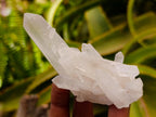 Natural Mixed Quartz Crystal Clusters and Crystals x 24 From Madagascar
