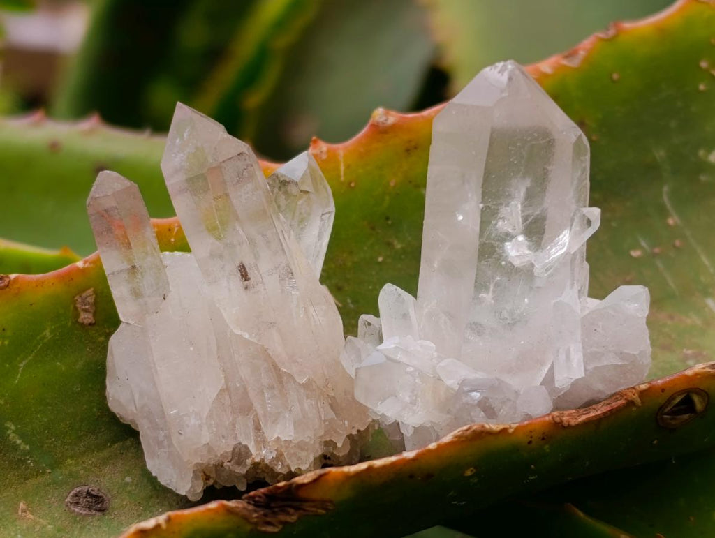 Natural Mixed Quartz Crystal Clusters and Crystals x 24 From Madagascar