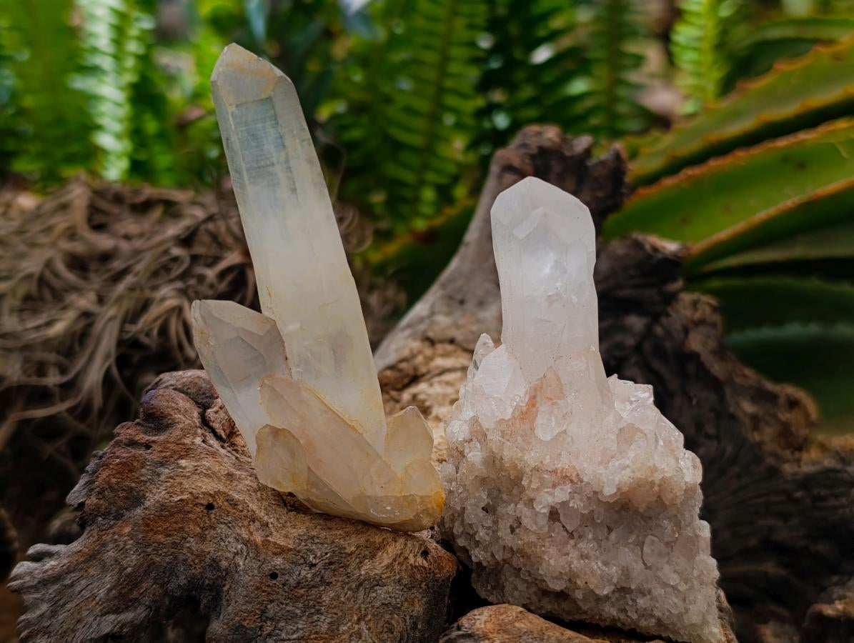 Natural Mixed Quartz Crystal Clusters and Crystals x 24 From Madagascar