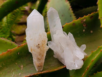 Natural Mixed Quartz Crystal Clusters and Crystals x 24 From Madagascar