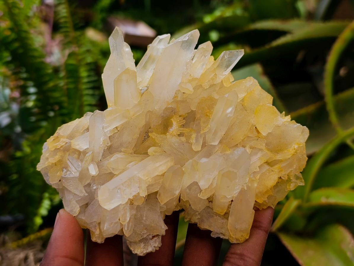 Natural Mixed Quartz Crystal Clusters and Crystals x 24 From Madagascar
