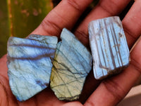 Polished On One Side Labradorite x 70 From Tulear, Madagascar