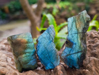 Polished On One Side Labradorite x 70 From Tulear, Madagascar