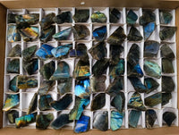 Polished On One Side Labradorite x 70 From Tulear, Madagascar