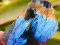Polished On One Side Labradorite x 70 From Tulear, Madagascar