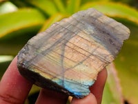 Polished On One Side Labradorite x 70 From Tulear, Madagascar