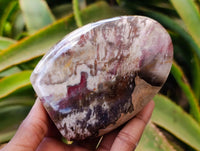 Polished Podocarpus Petrified Wood Standing Free Forms x 4 From Mahajanga, Madagascar
