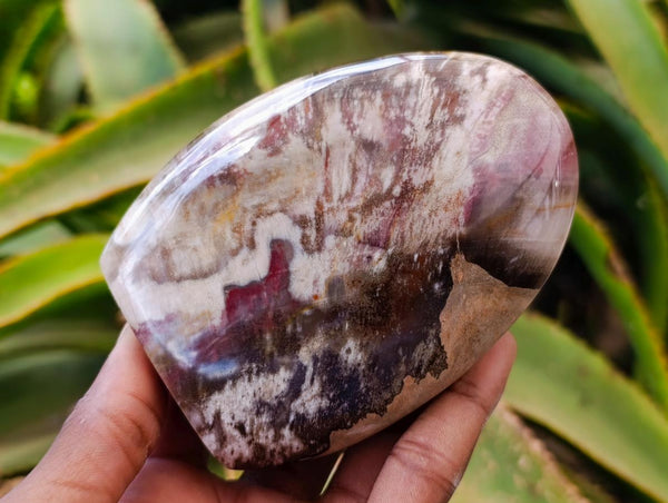 Polished Podocarpus Petrified Wood Standing Free Forms x 4 From Mahajanga, Madagascar