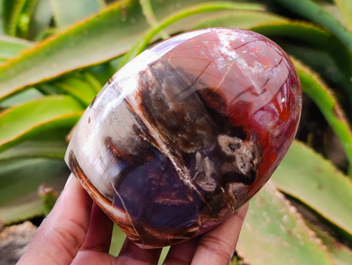Polished Podocarpus Petrified Wood Standing Free Forms x 4 From Mahajanga, Madagascar - Toprock Gemstones and Minerals 