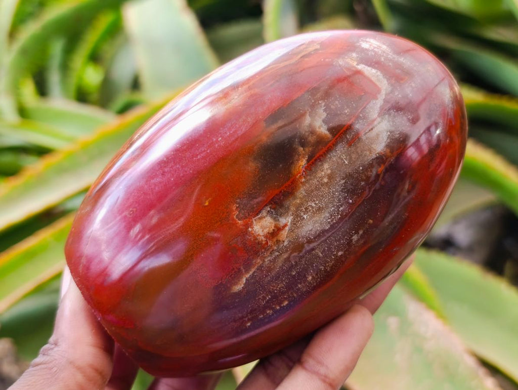 Polished Podocarpus Petrified Wood Standing Free Forms x 4 From Mahajanga, Madagascar - Toprock Gemstones and Minerals 