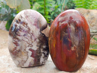 Polished Podocarpus Petrified Wood Standing Free Forms x 4 From Mahajanga, Madagascar