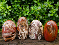 Polished Podocarpus Petrified Wood Standing Free Forms x 4 From Mahajanga, Madagascar